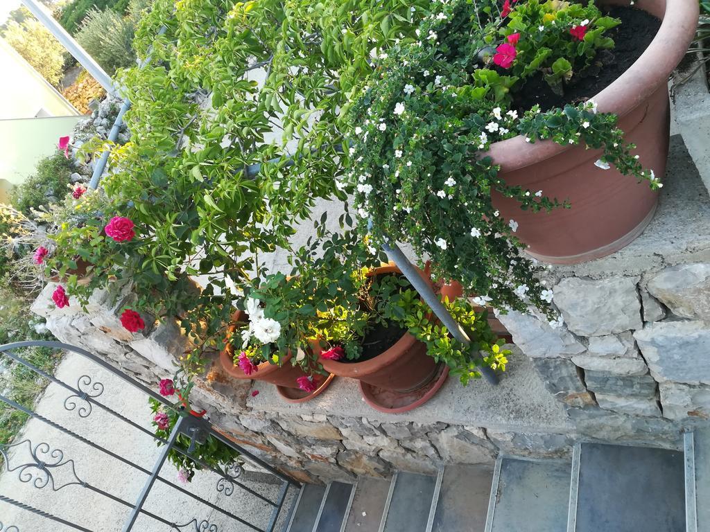 Apartment Neno - Terrace & Parking Veli Losinj Bagian luar foto
