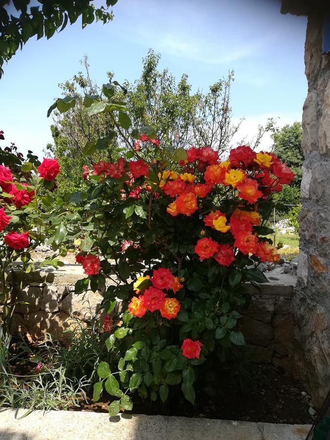 Apartment Neno - Terrace & Parking Veli Losinj Bagian luar foto