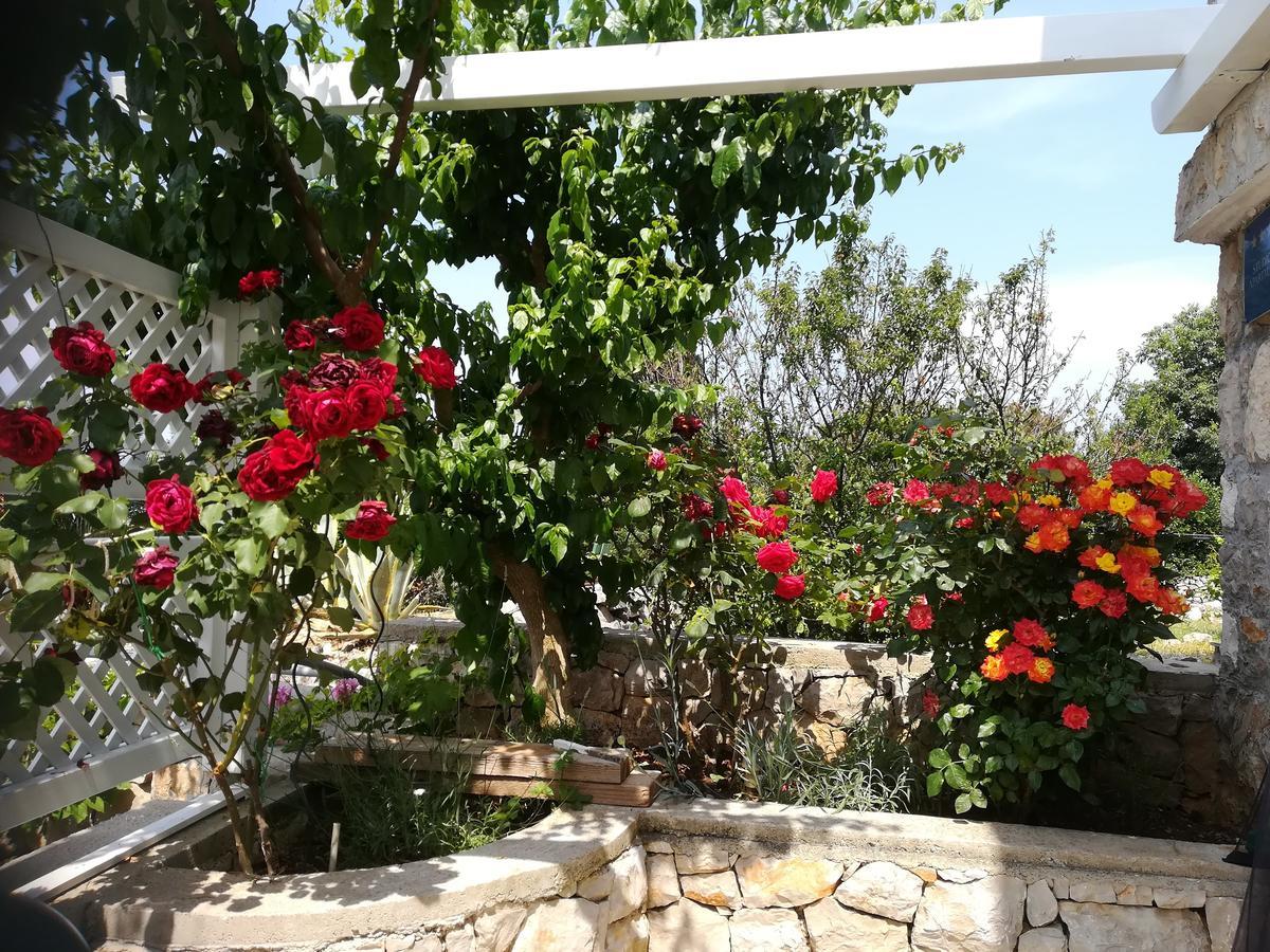 Apartment Neno - Terrace & Parking Veli Losinj Bagian luar foto