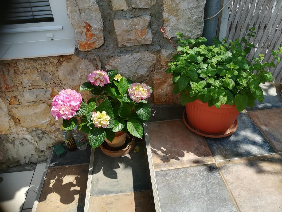 Apartment Neno - Terrace & Parking Veli Losinj Bagian luar foto