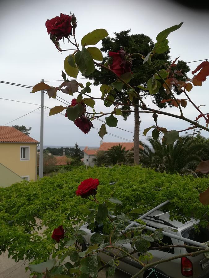 Apartment Neno - Terrace & Parking Veli Losinj Bagian luar foto